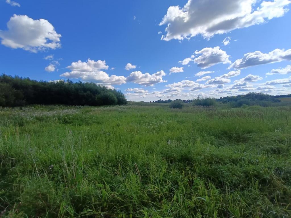 Działka budowlana 5951&nbsp;m², Srokowo - zdjęcie 15