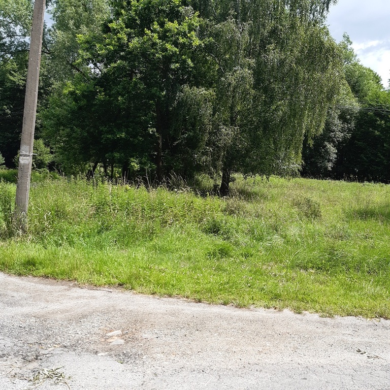 Działka budowlana 6700&nbsp;m², Chocieszów - zdjęcie 4