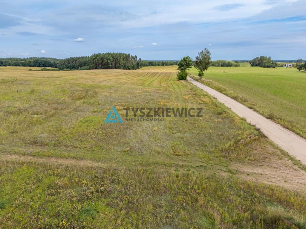Działka Kaszuby Warunki Zabudowy|Las|Jezioro - zdjęcie 11
