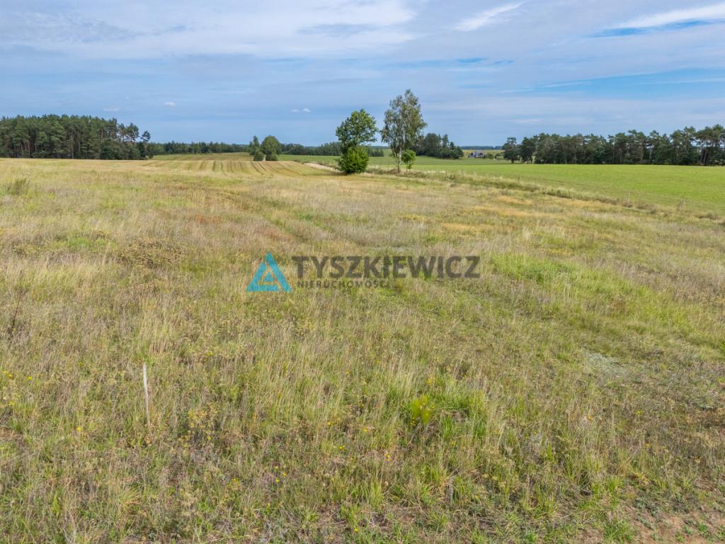 Działka Kaszuby Warunki Zabudowy|Las|Jezioro - zdjęcie 14