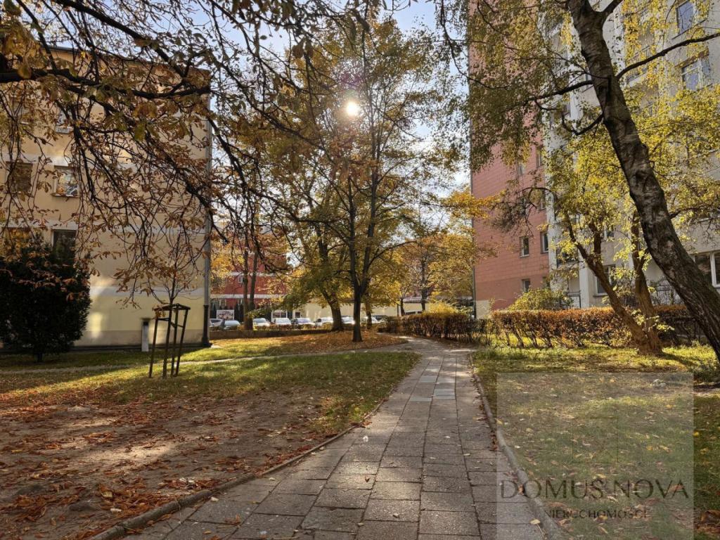 2 pokoje na śródmieściu, ciche w zieleni. - zdjęcie 12