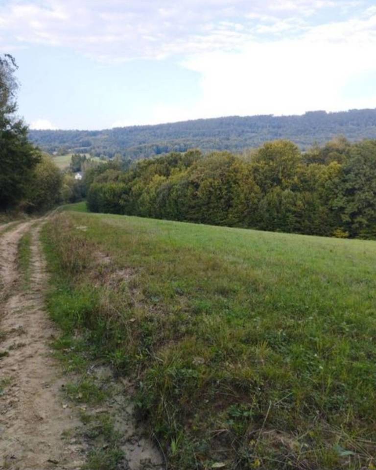 Działka rolna 2,14 ha, Łobozew Górny - zdjęcie 3