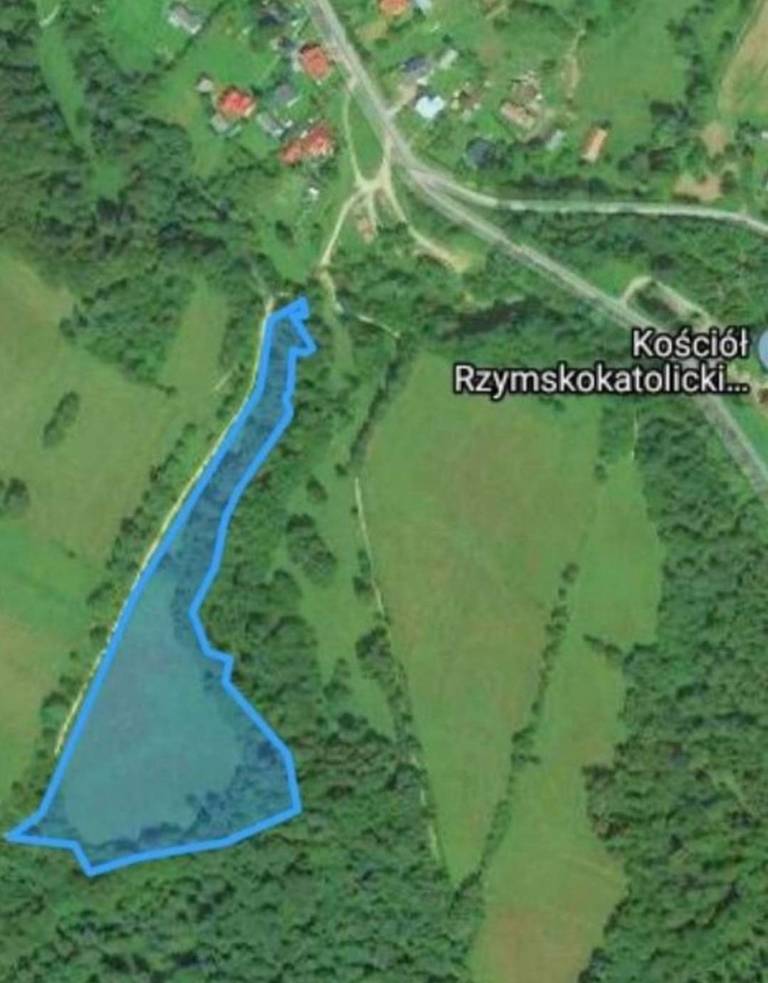 Działka rolna 2,14 ha, Łobozew Górny - zdjęcie 2