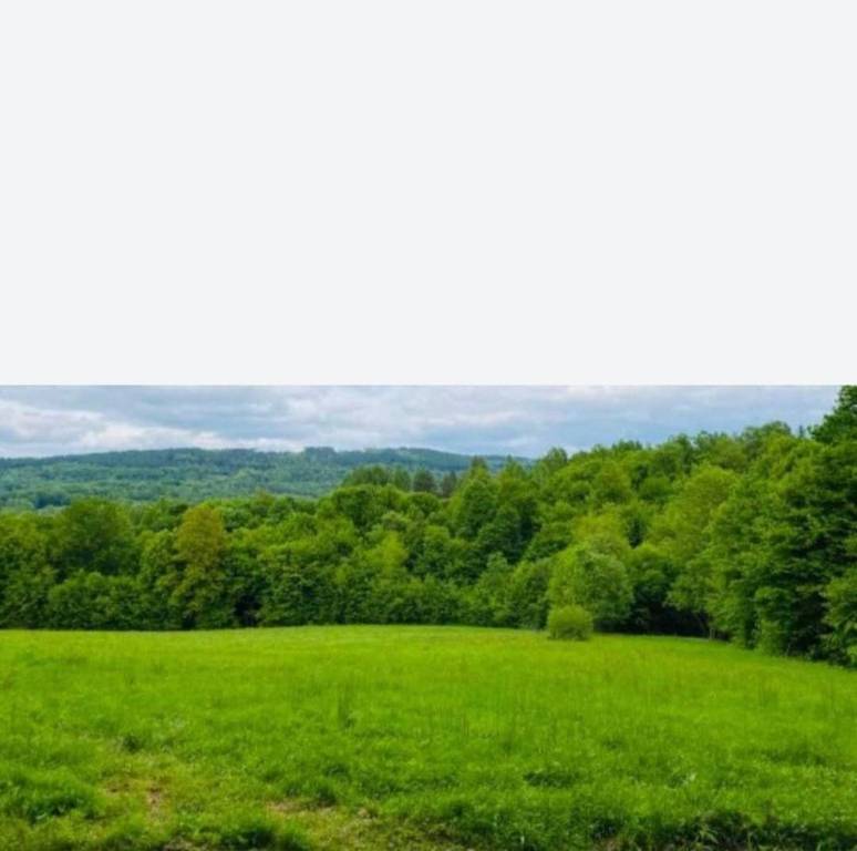 Działka rolna 2,14 ha, Łobozew Górny - zdjęcie 1