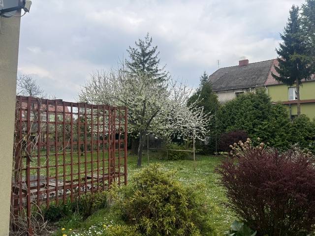 Dom 232&nbsp;m², Brzeg, Lwowska - zdjęcie 4