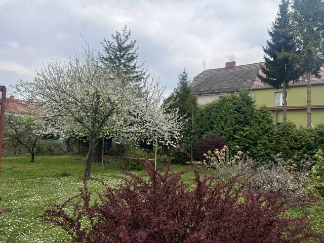 Dom 232&nbsp;m², Brzeg, Lwowska - zdjęcie 5