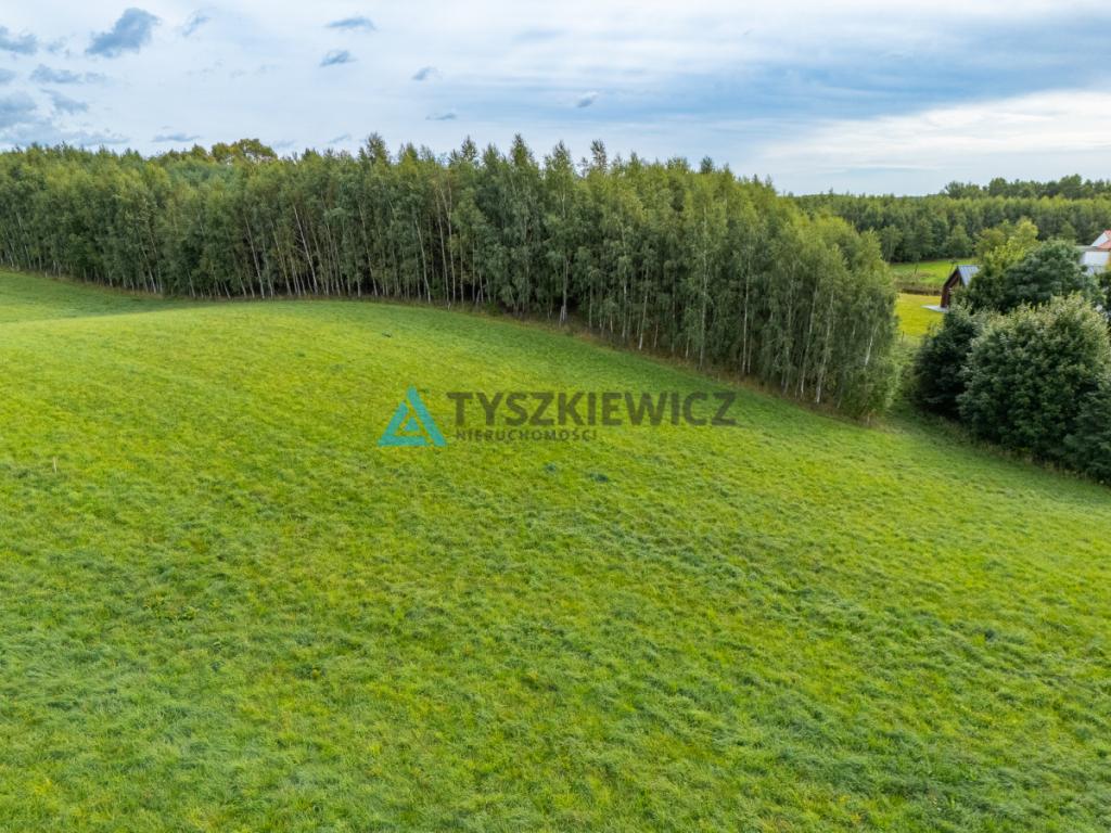Dwie duże działki budowlane - zdjęcie 6