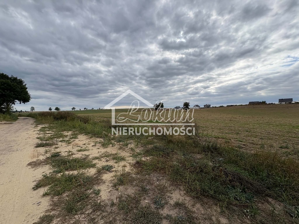 Działka budowlana 3,00&nbsp;ha, Bielkowo - zdjęcie 5