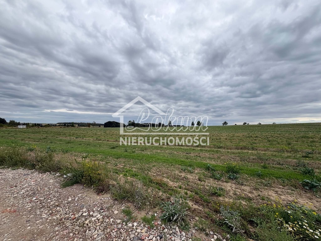 Działka budowlana 3,00&nbsp;ha, Bielkowo - zdjęcie 1