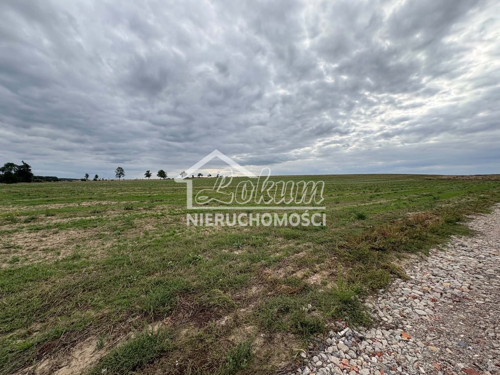 Działka budowlana 3,00&nbsp;ha, Bielkowo - zdjęcie 3