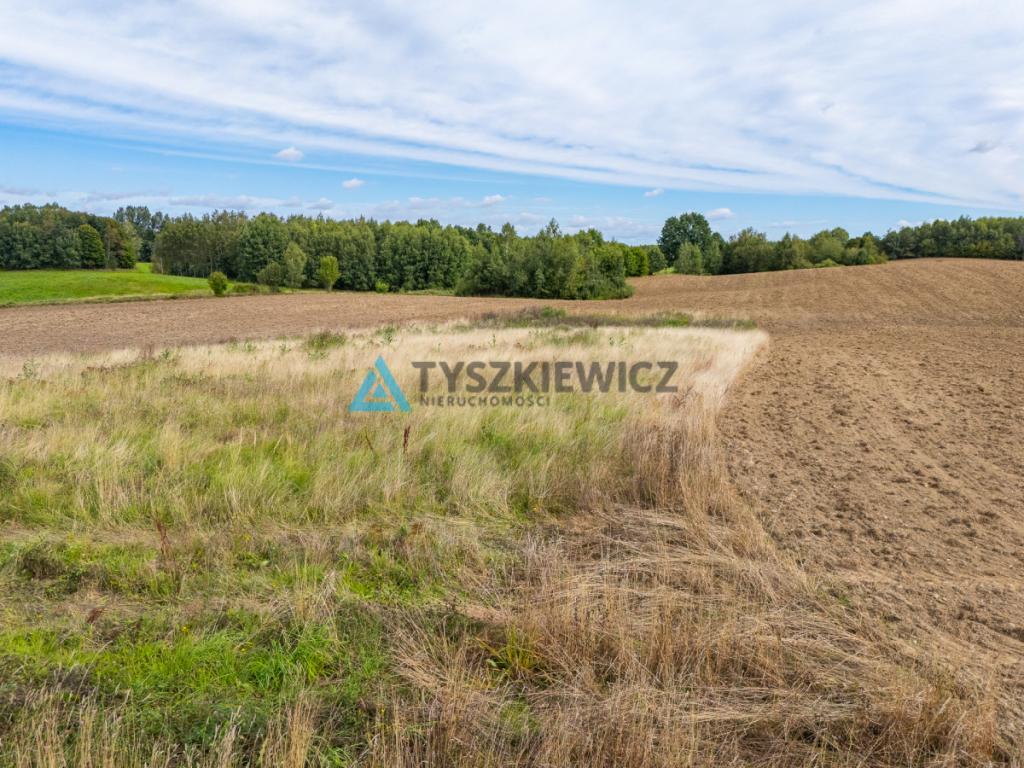 Działka Grabowska Huta - zdjęcie 15
