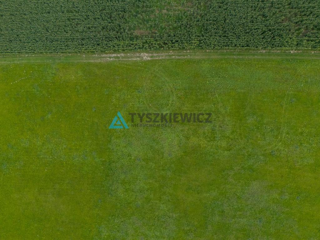 Działka nad jeziorem? Twoje miejsce na Kaszubach! - zdjęcie 13