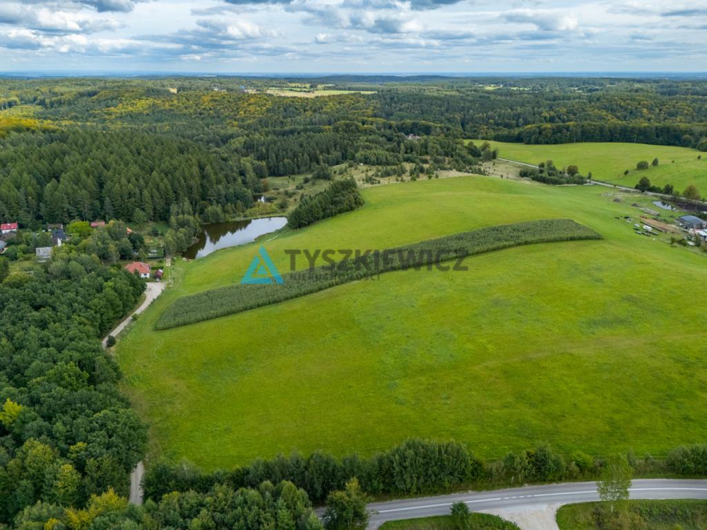 Działka nad jeziorem? Twoje miejsce na Kaszubach! - zdjęcie 5