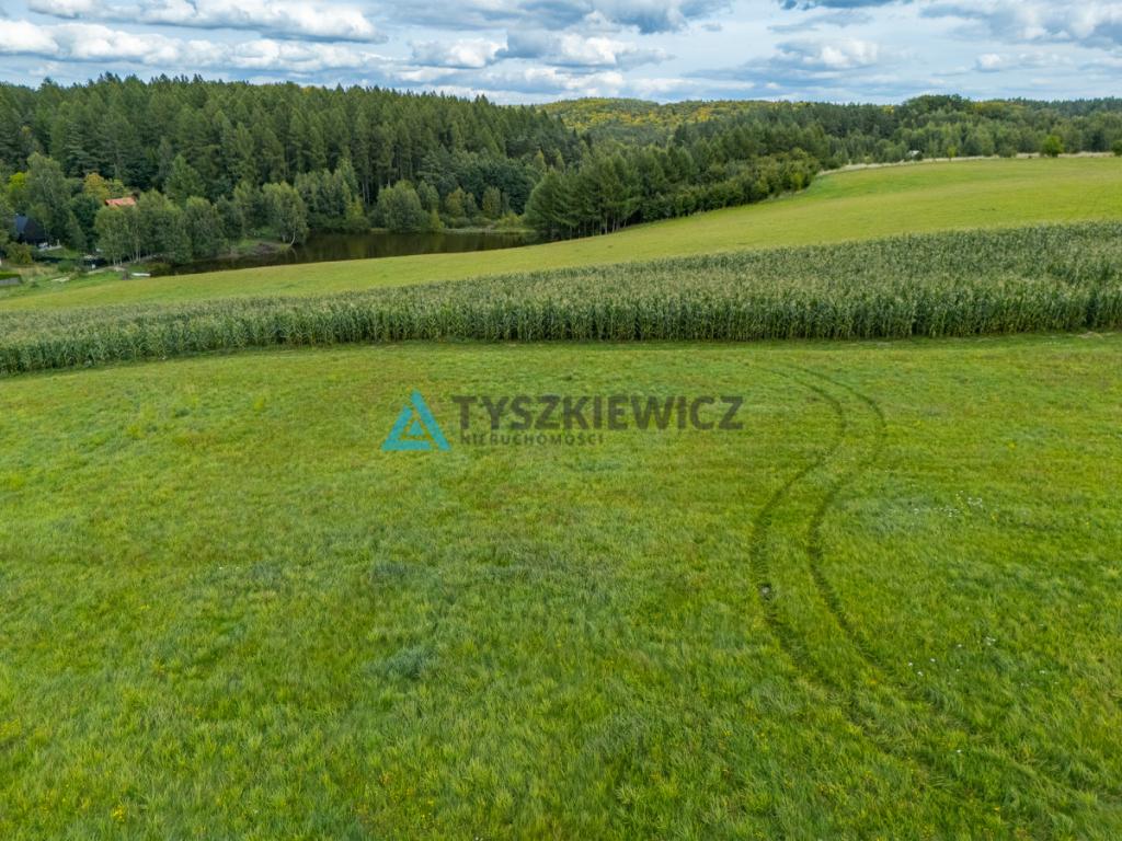 Działka nad jeziorem? Twoje miejsce na Kaszubach! - zdjęcie 9