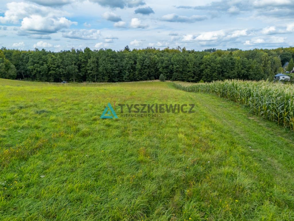 Działka nad jeziorem? Twoje miejsce na Kaszubach! - zdjęcie 15