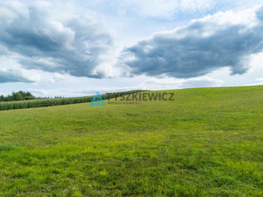 Działka nad jeziorem? Twoje miejsce na Kaszubach! - zdjęcie 12
