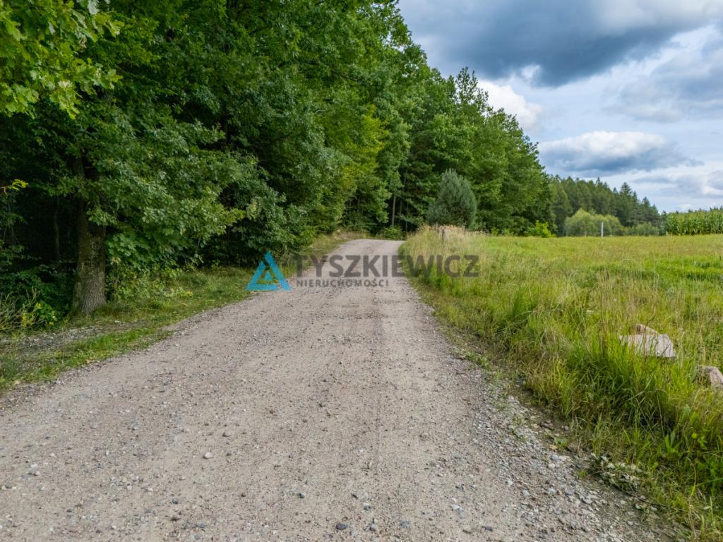 Działka nad jeziorem? Twoje miejsce na Kaszubach! - zdjęcie 16