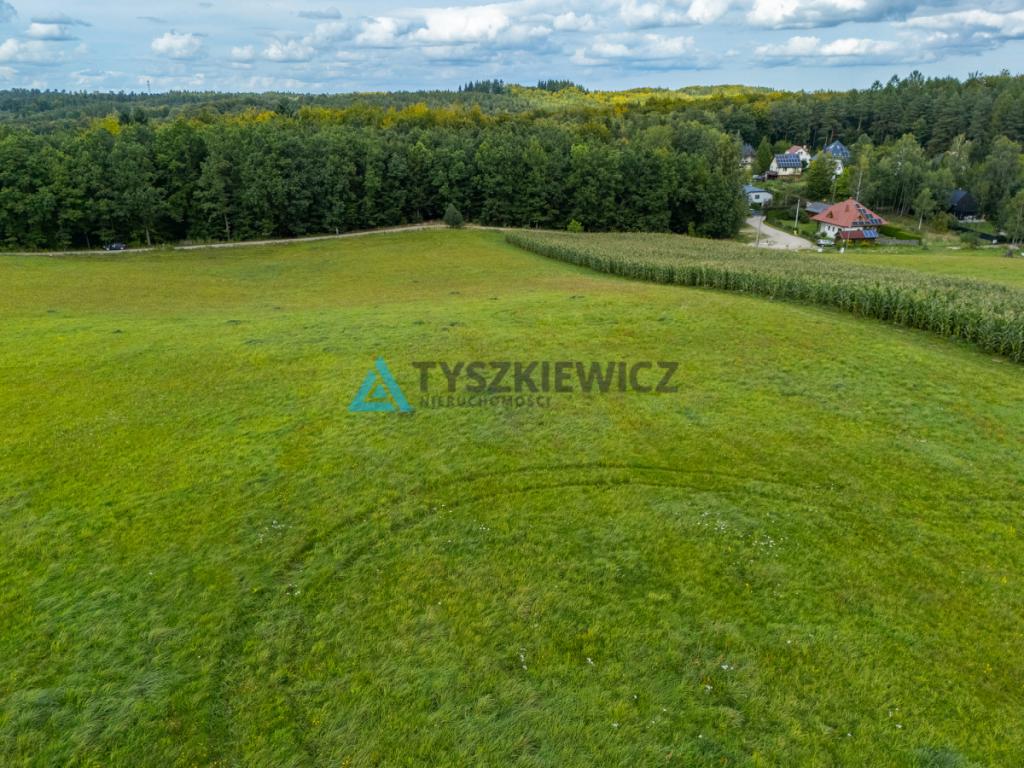 Działka nad jeziorem? Twoje miejsce na Kaszubach! - zdjęcie 14