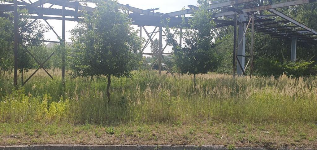 Lokal usługowy na sprzedaż, 40541 m², Zabrze - zdjęcie 10
