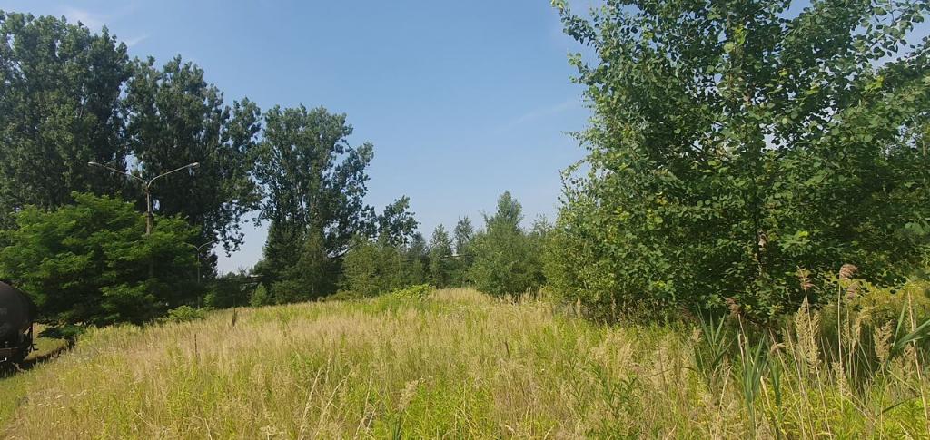 Lokal usługowy na sprzedaż, 40541 m², Zabrze - zdjęcie 14