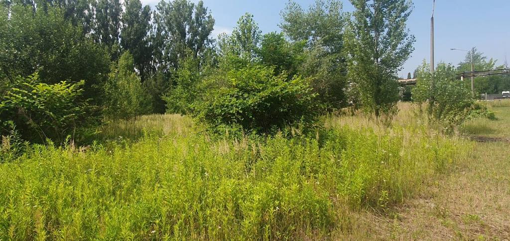 Lokal usługowy na sprzedaż, 40541 m², Zabrze - zdjęcie 13
