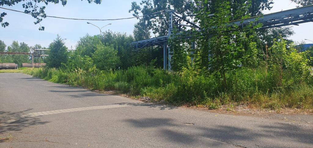 Lokal usługowy na sprzedaż, 40541 m², Zabrze - zdjęcie 6
