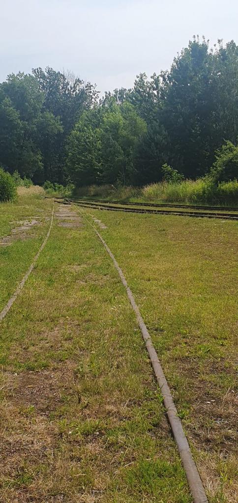 Lokal usługowy na sprzedaż, 40541 m², Zabrze - zdjęcie 15
