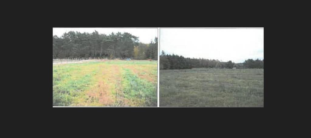 Działka budowlana 4999 m², Dobiegniew - zdjęcie 1