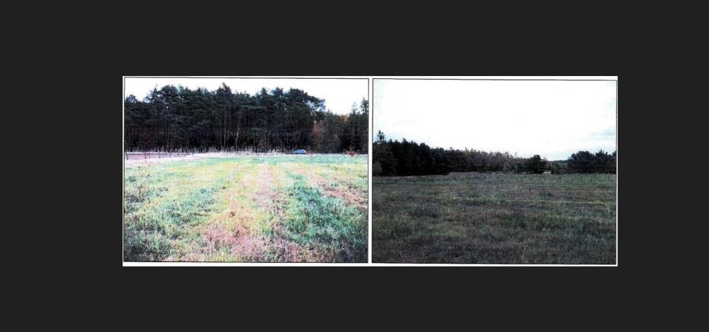 Działka budowlana 4999 m², Dobiegniew - zdjęcie 2