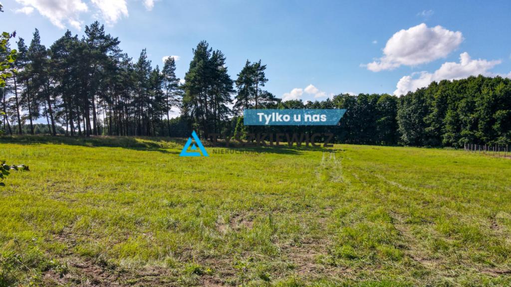 Działki rolne z wz - budynek letniskowy - Demlin - zdjęcie 1