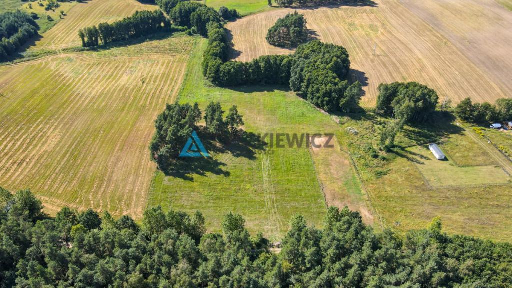 Działki rolne z wz - budynek letniskowy - Demlin - zdjęcie 10