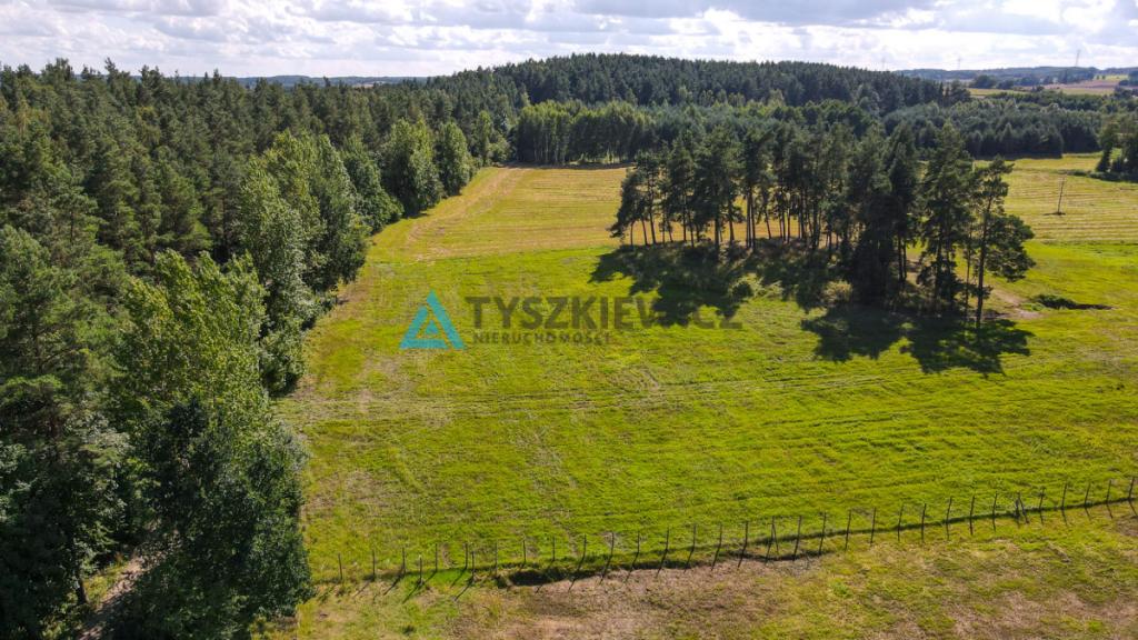 Działki rolne z wz - budynek letniskowy - Demlin - zdjęcie 20
