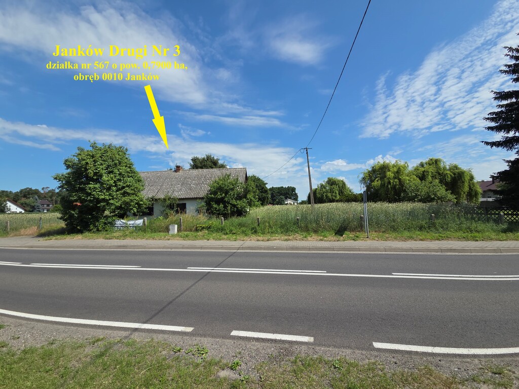 Działka rolna 7900&nbsp;m², Janków Drugi - zdjęcie 3