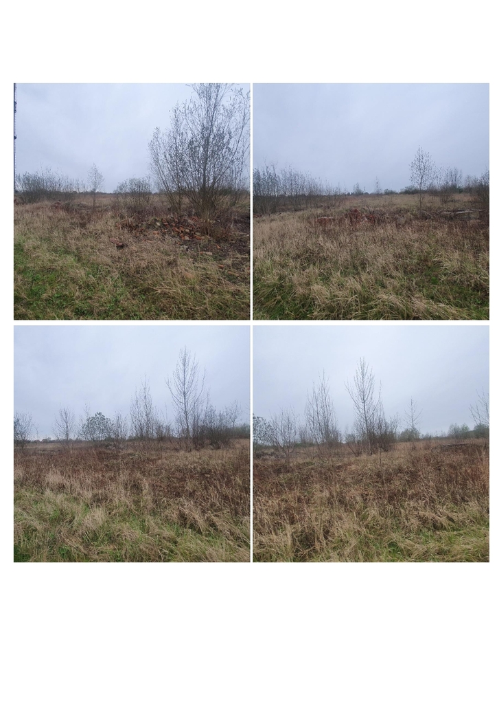 Działka budowlana 22,28 ha, Malczyce - zdjęcie 6