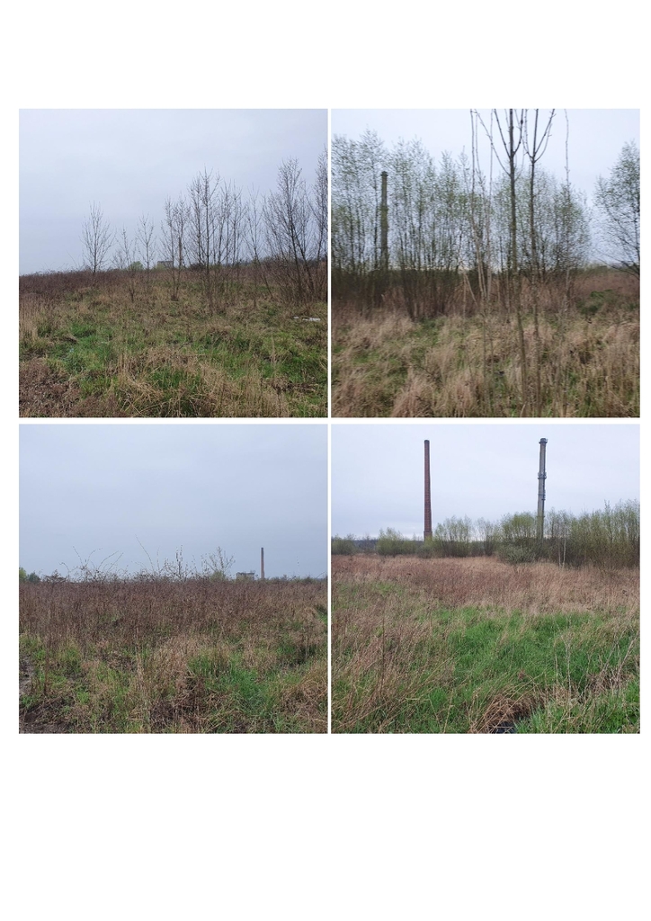 Działka budowlana 22,28 ha, Malczyce - zdjęcie 8