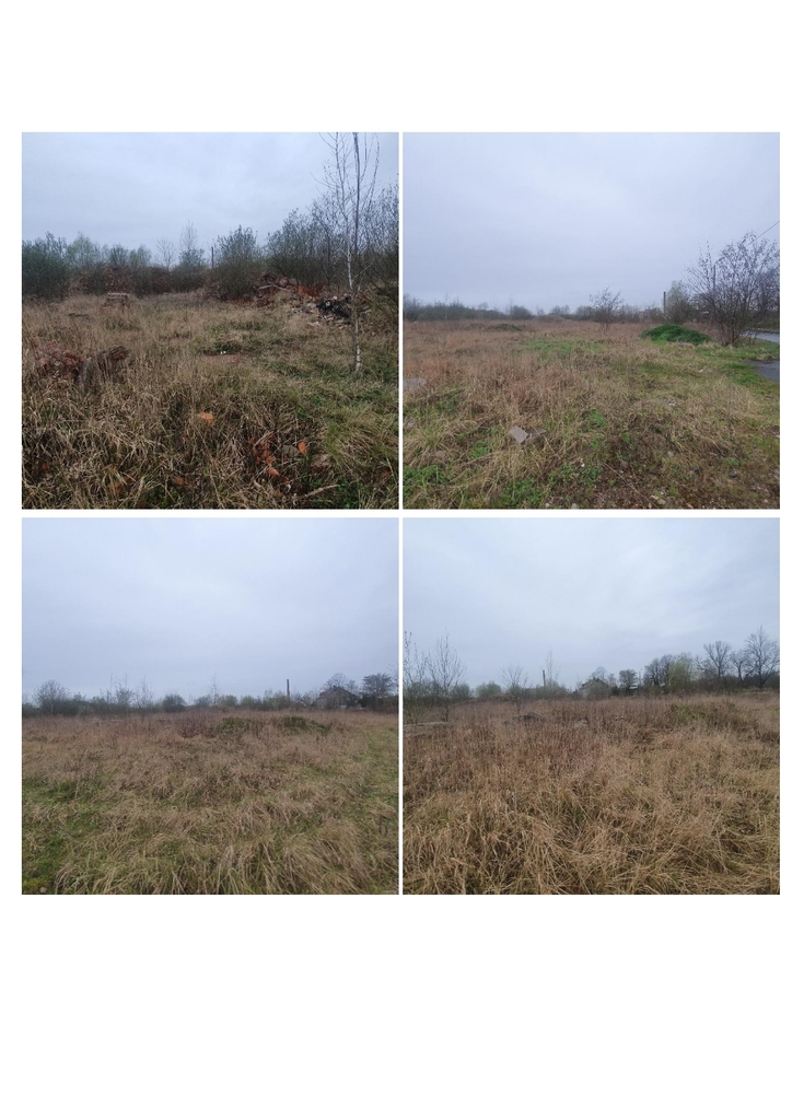 Działka budowlana 22,28 ha, Malczyce - zdjęcie 4