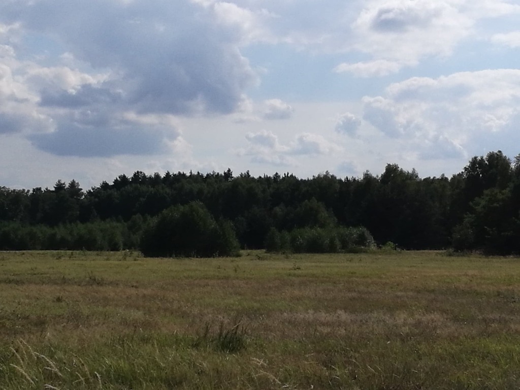 Działka budowlana 4,00&nbsp;ha, Polkowice, Aleja Marszałka Józefa Piłsudskiego - zdjęcie 6