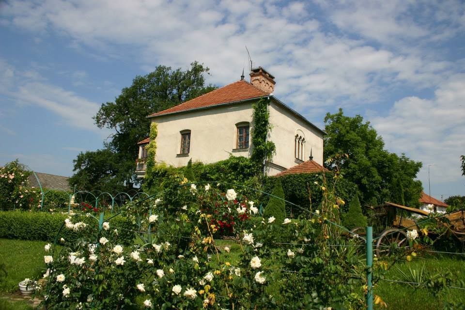 Lokal usługowy na sprzedaż, 1531&nbsp;m², Skrzyszów - zdjęcie 2