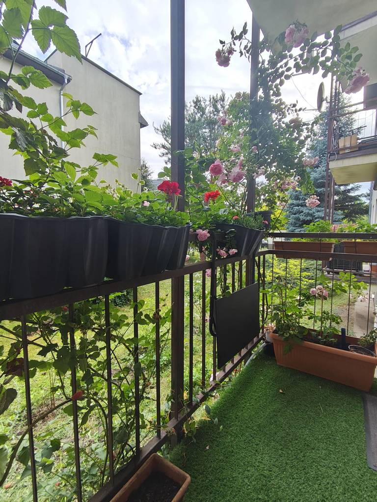 Mieszkanie 72 m², Wrocław, Buczacka - zdjęcie 7