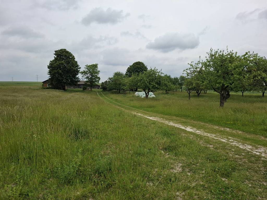 Działka rolna 13,00 ha, Mogilnica - zdjęcie 2