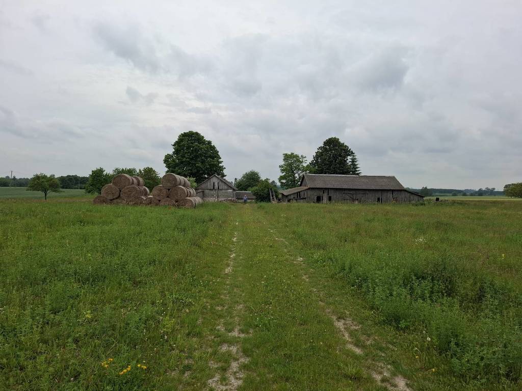Działka rolna 13,00 ha, Mogilnica - zdjęcie 1