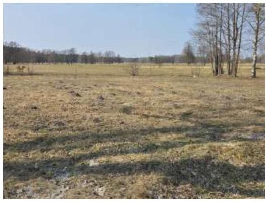 Działka budowlana 1320 m², Grądzkie - zdjęcie 1