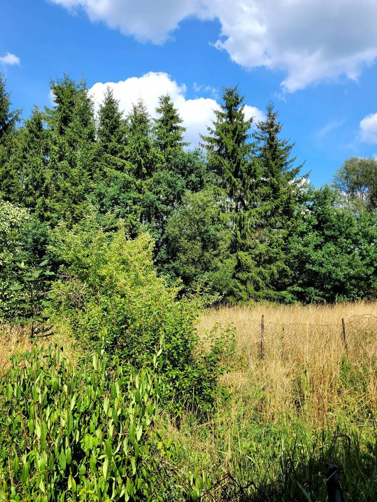 Dom 72,86 m², Banie Mazurskie, 1 Maja - zdjęcie 5