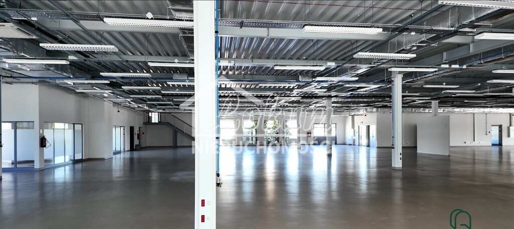 Magazyn do wynajęcia, 4902,77 m², Szczecin - zdjęcie 15