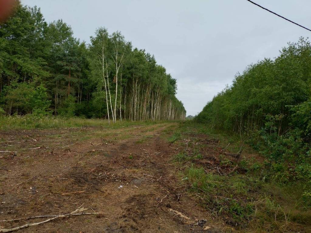 Działka rekreacyjna 300 m², Święta Anna - zdjęcie 2