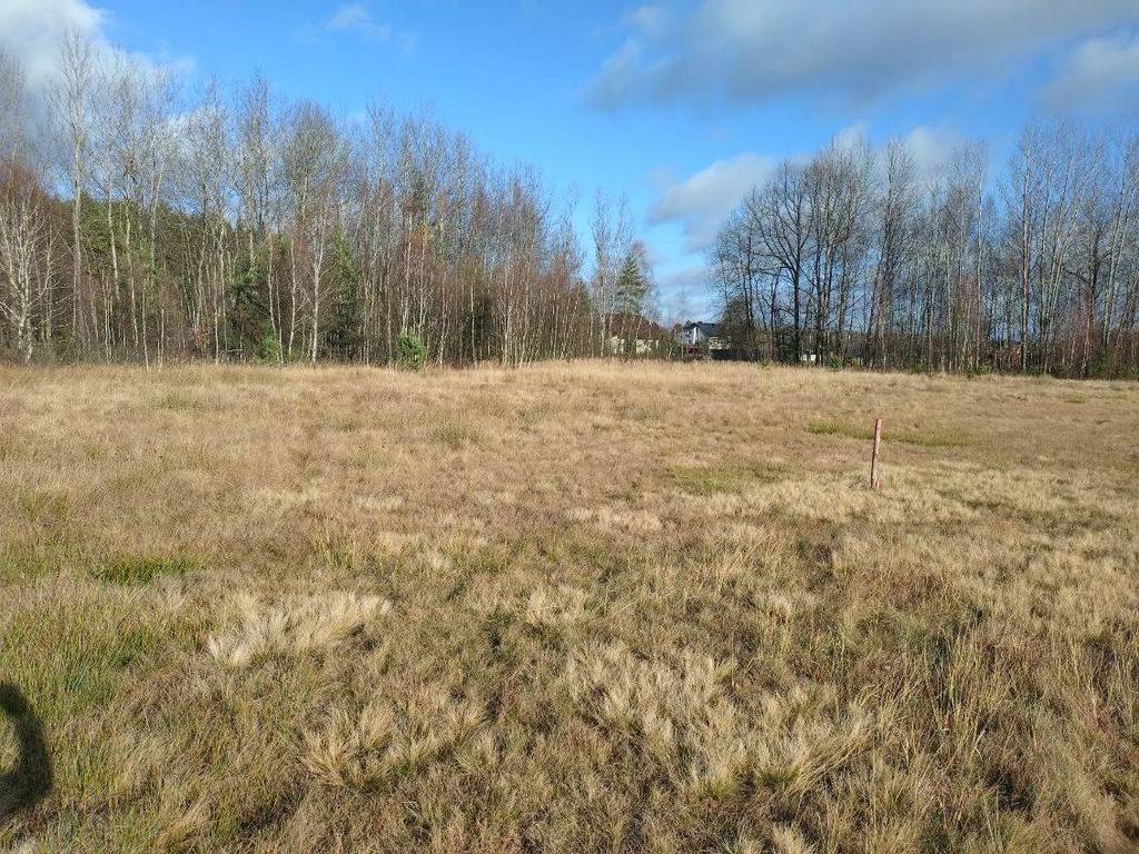 Działka budowlana 4,00 ha, Koniecpol - zdjęcie 3