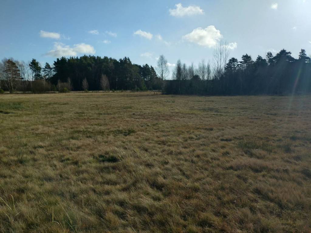 Działka budowlana 4,00 ha, Koniecpol - zdjęcie 5
