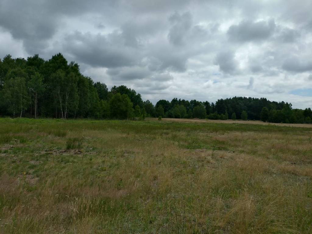Działka budowlana 1200 m², Koniecpol - zdjęcie 2