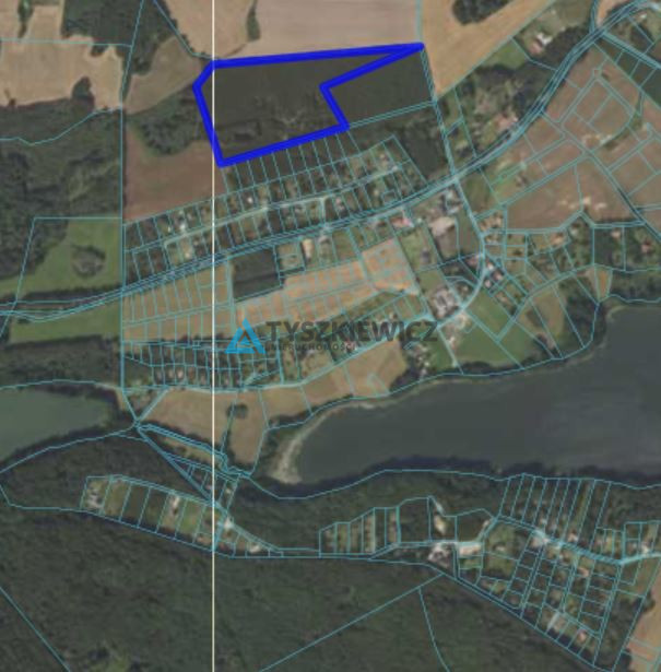 Własny kawałek Kaszub - 4,55 ha z lasem! - zdjęcie 9