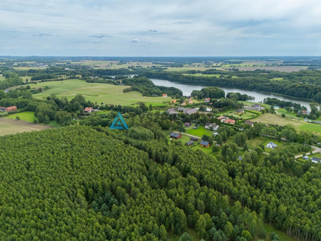 Własny kawałek Kaszub - 4,55 ha z lasem! - zdjęcie 11